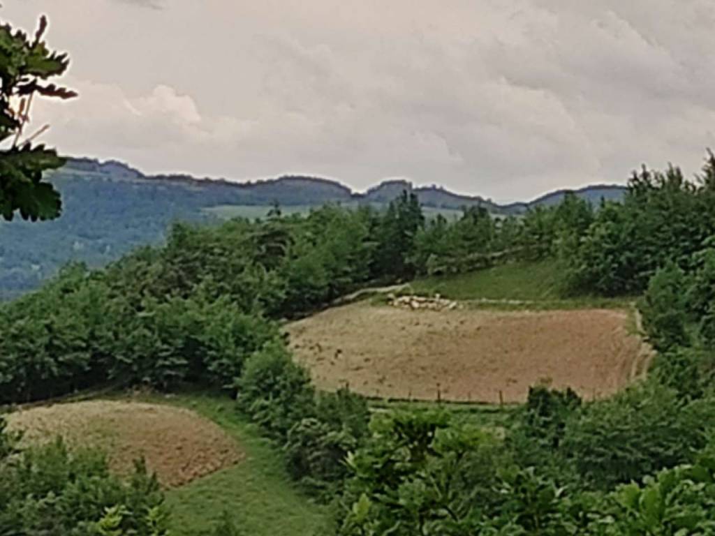 Terreno a Cortemilia in località Castello - Foto 2