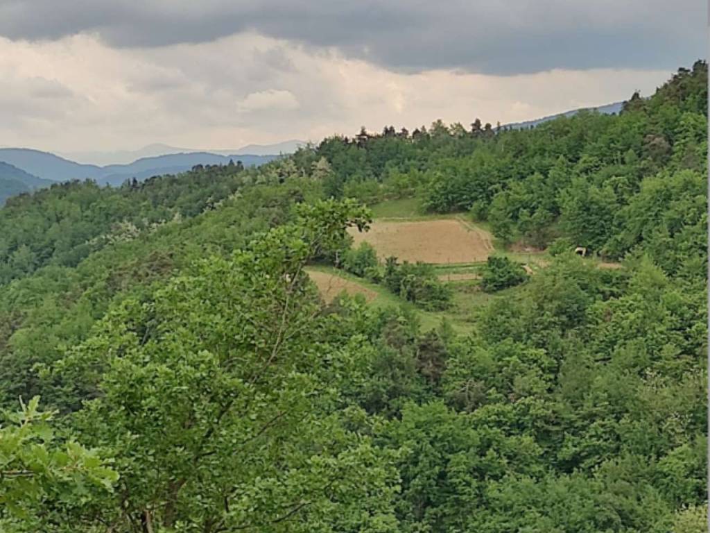 Terreno a Cortemilia in località Castello - Foto 3
