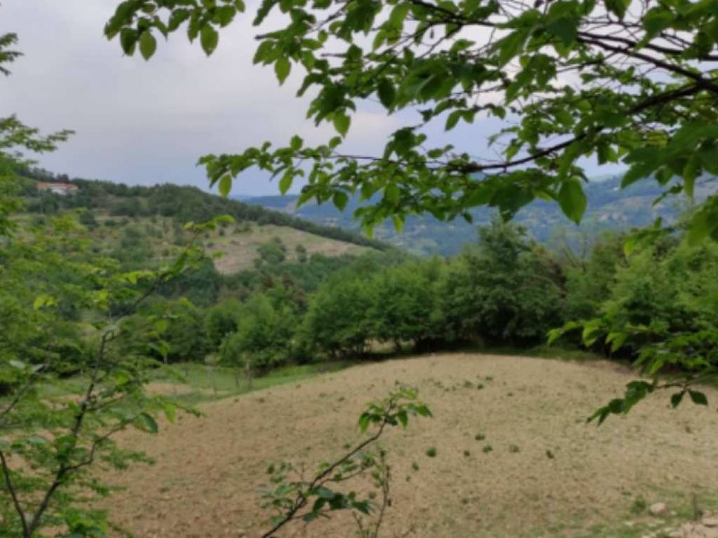 Terreno a Cortemilia in località Castello - Foto 4