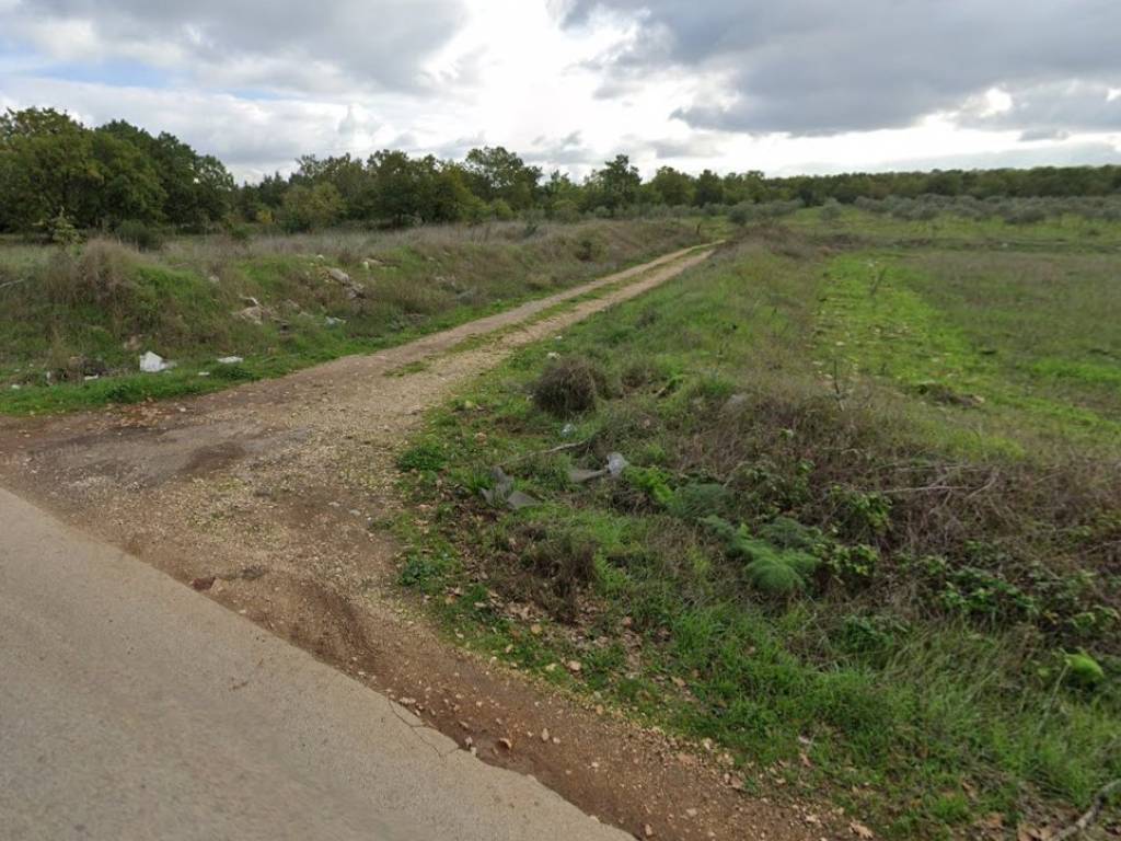 Terreno a Grumo appula in Strada Comunale di Mellitto - Foto 2