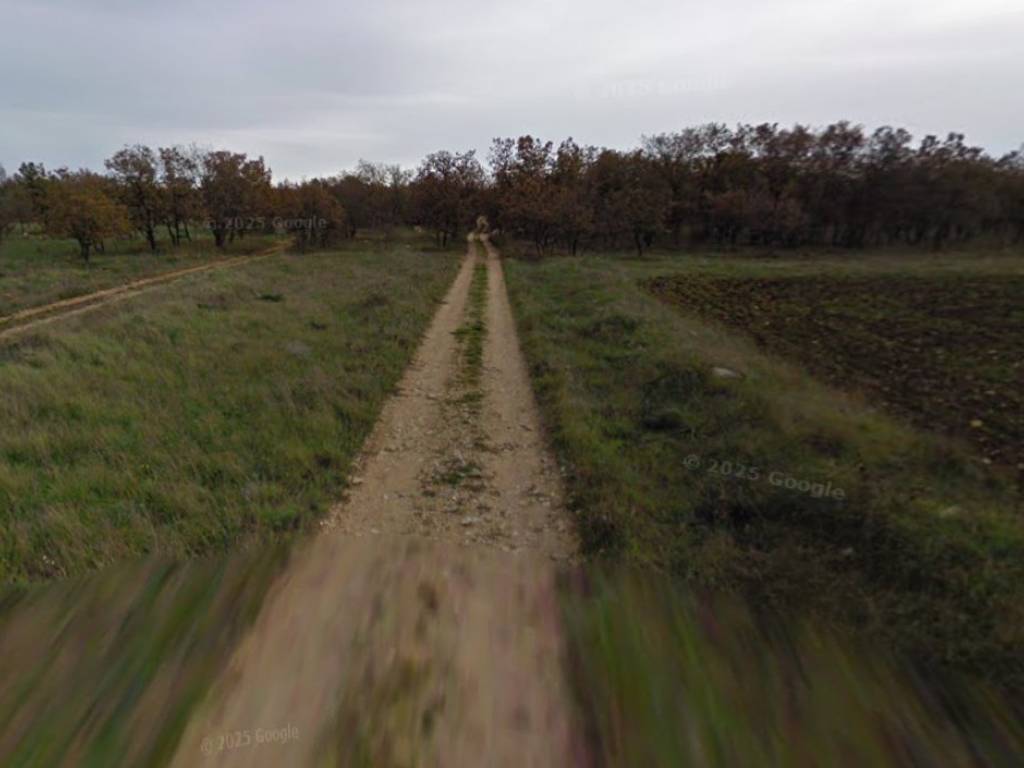 Terreno a Grumo appula in Strada Comunale di Mellitto - Foto 3