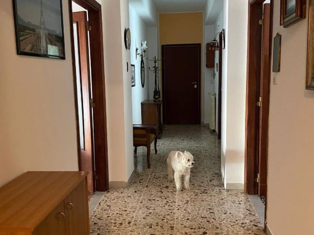 Appartamento a Catanzaro in Via Bambinello Gesù - Foto 5