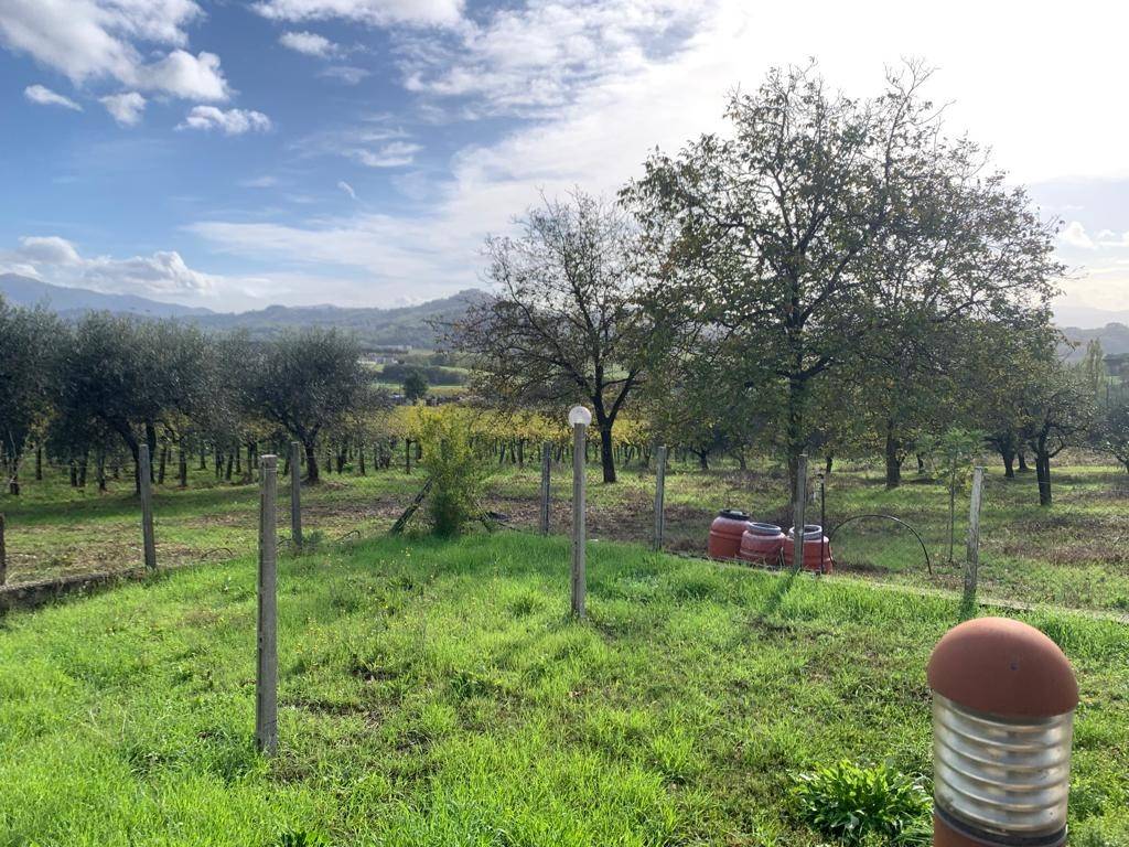 Villa a Paliano in Contrada Colle San Giovenale - Foto 5