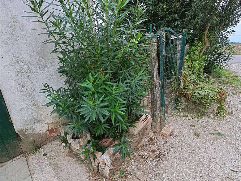 Casa indipendente a Sermide e felonica - Foto 5