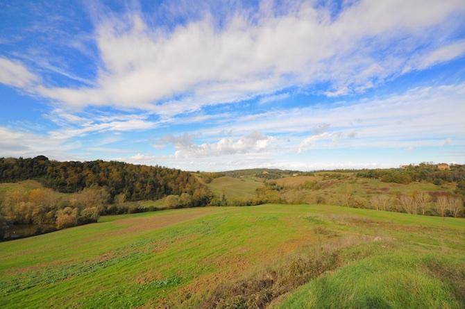 Terreno a Sinalunga in Sinalunga - Foto 4