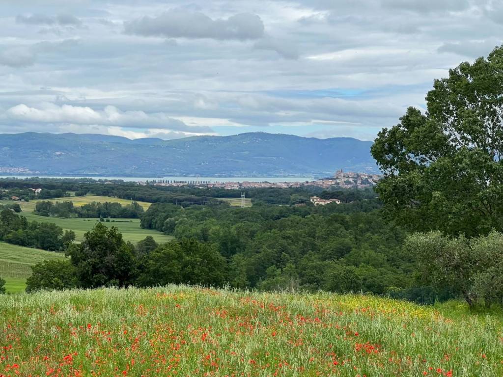 Terreno a Castiglione del lago in Castiglione del Lago - Foto 3