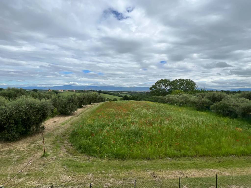 Terreno a Castiglione del lago in Castiglione del Lago - Foto 4