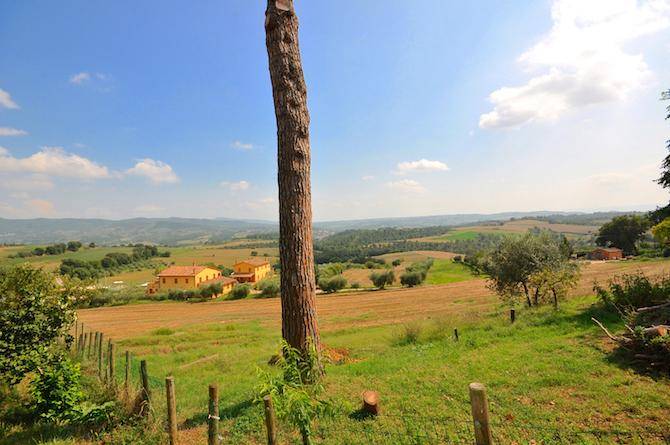 Terreno a Castiglione del lago in Castiglione del Lago - Foto 3