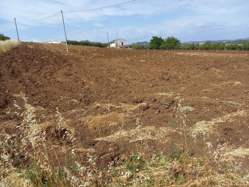 Rustico / casale a Miglionico in Località Marineto No Number - Foto 4
