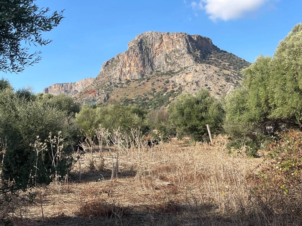 Terreno a Terrasini in Via Mimosa - Foto 4