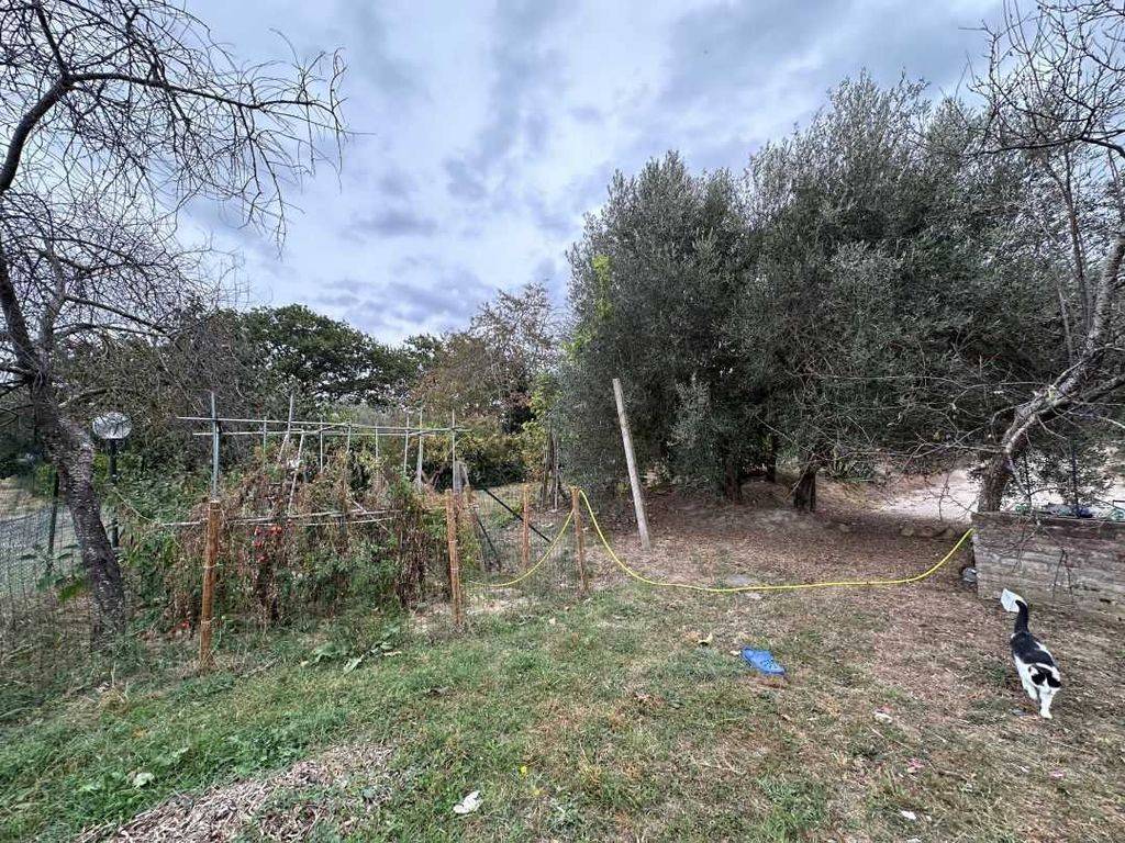 Rustico / casale a Paciano in Via della Torre - Foto 5