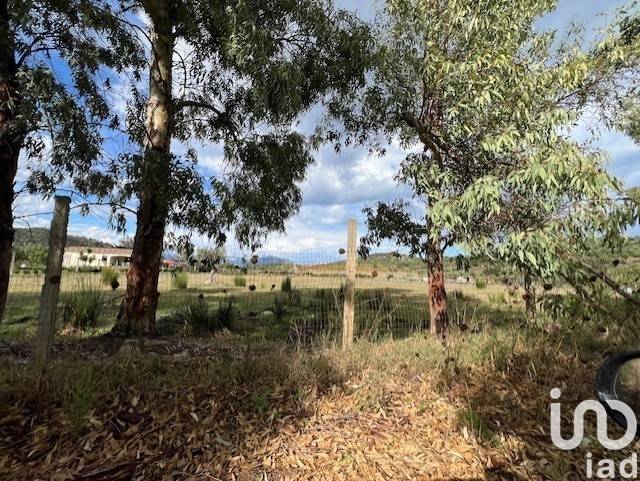 Terreno a Tortolì in LocalitÃ TortolÃ¬ - Foto 2