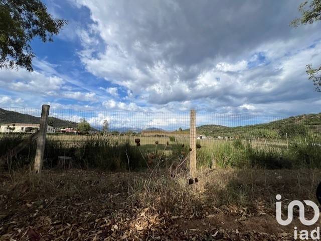 Terreno a Tortolì in LocalitÃ TortolÃ¬ - Foto 3