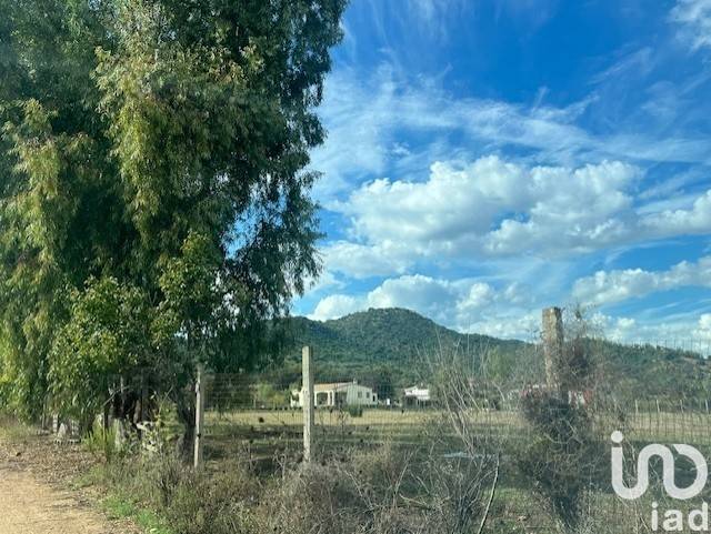 Terreno a Tortolì in LocalitÃ TortolÃ¬ - Foto 4
