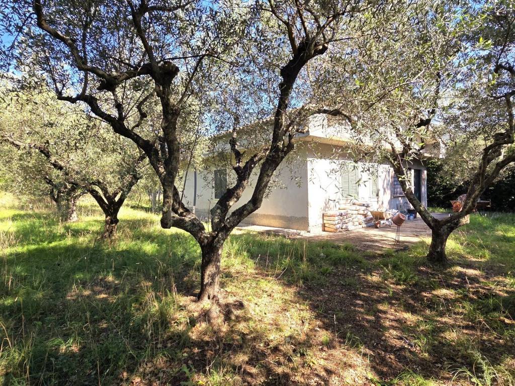 Villa a Trevignano romano - Foto 2