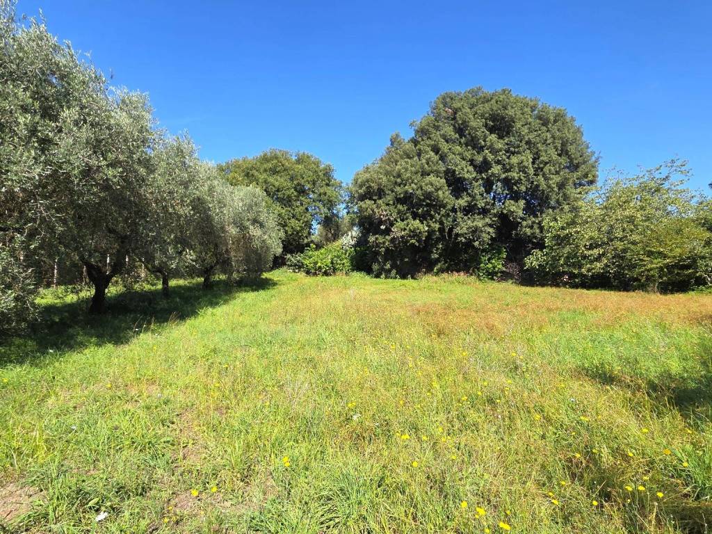 Villa a Trevignano romano - Foto 4