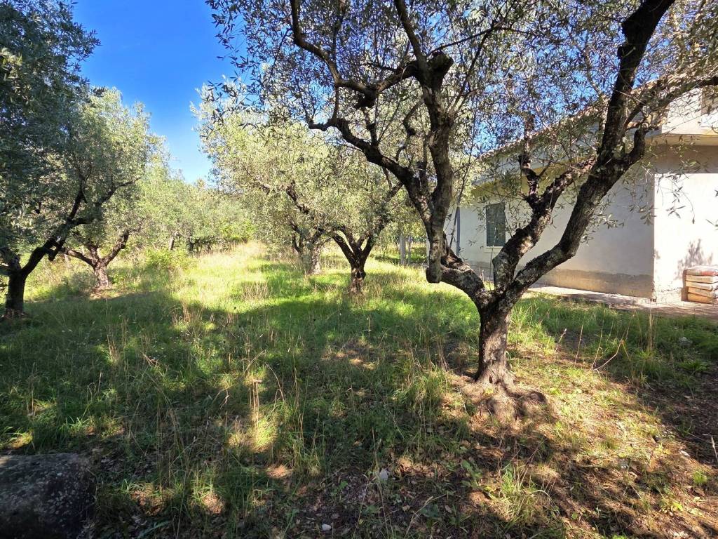 Villa a Trevignano romano - Foto 5