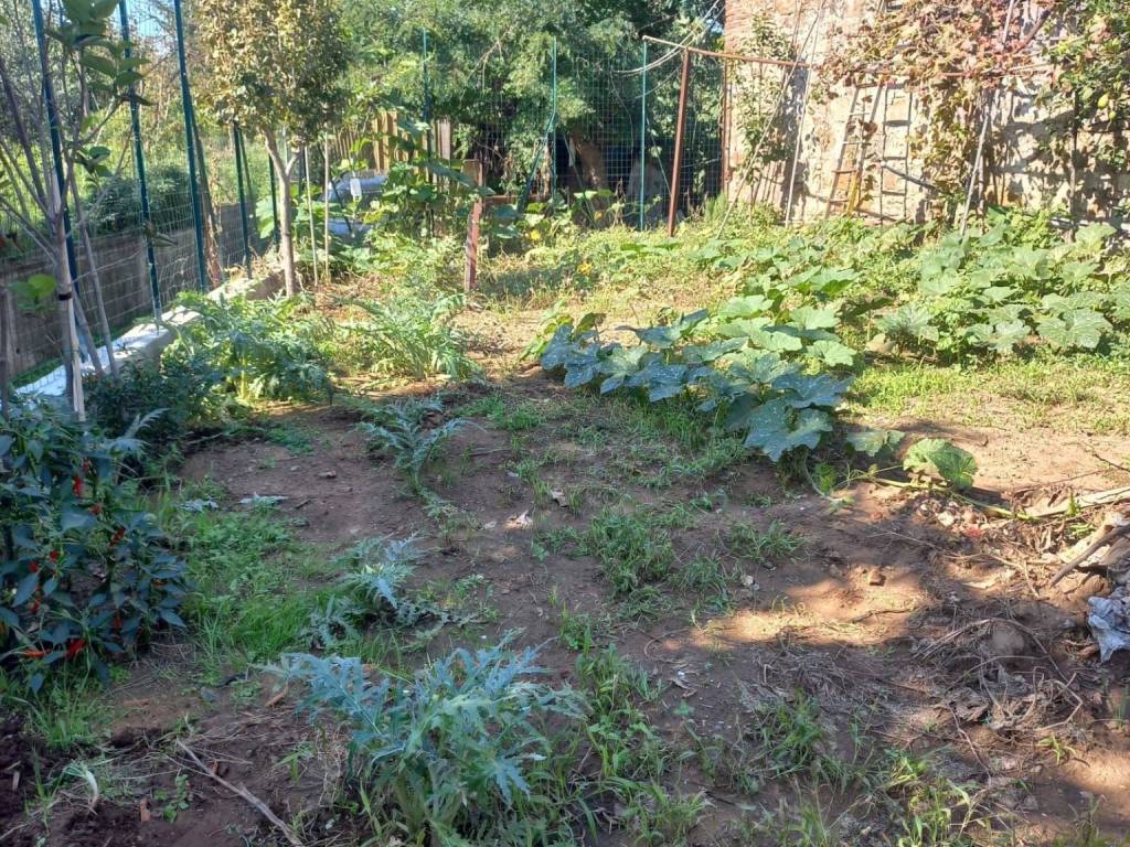 Terreno a Piombino - Foto 2
