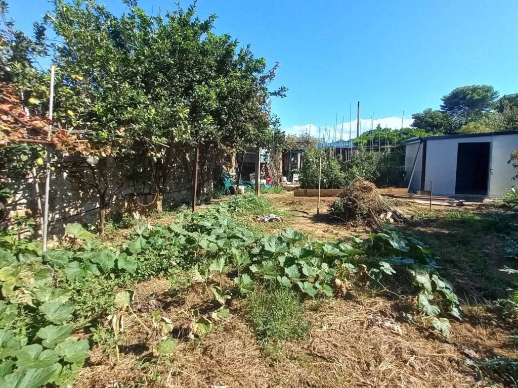 Terreno a Piombino - Foto 3
