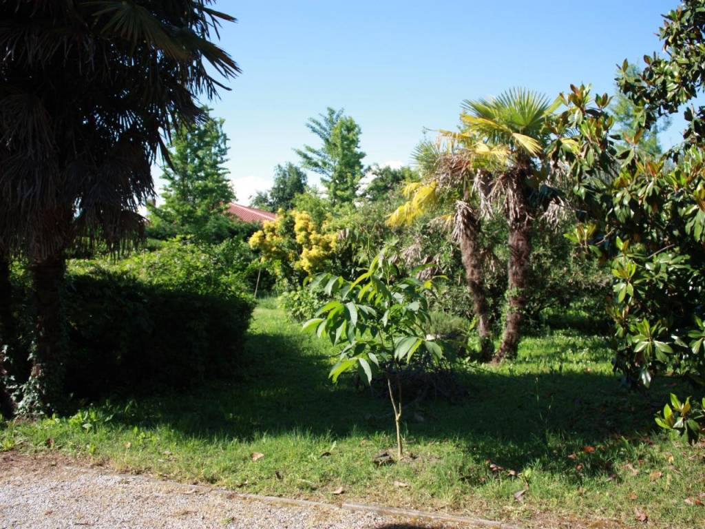 Villa a Martellago in Via delle Motte, 1 - Foto 5