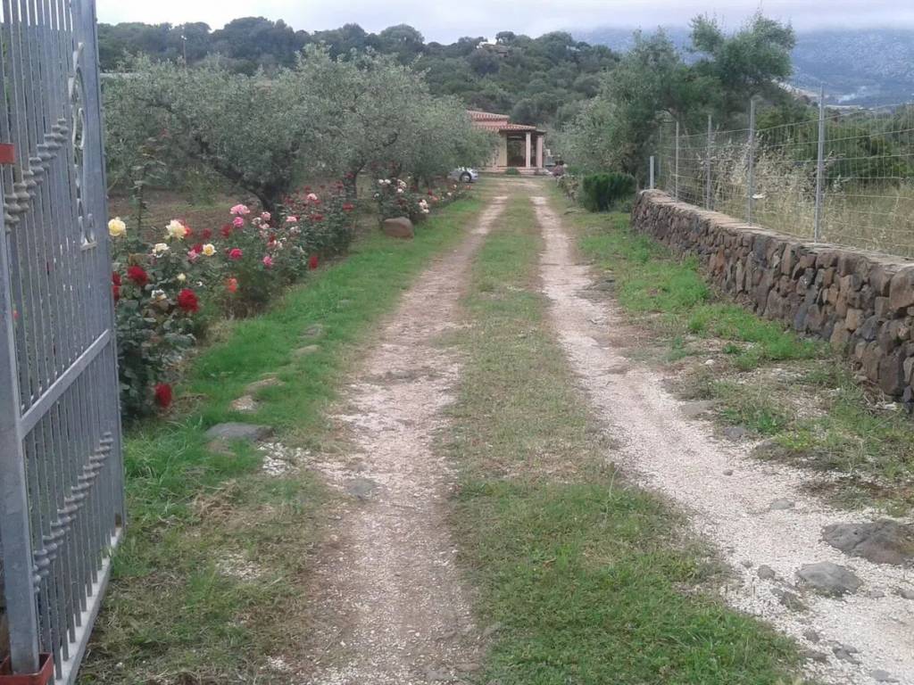 Villa a Orosei in Località Osala, 7 - Foto 2