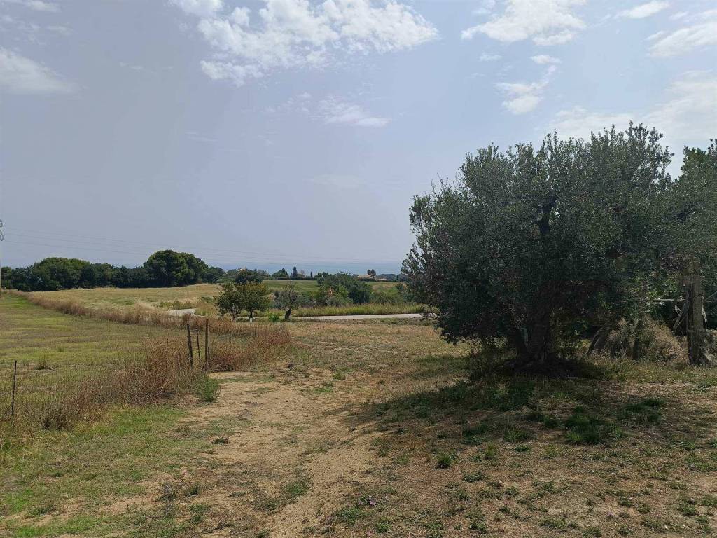 Terreno a Massignano - Foto 2