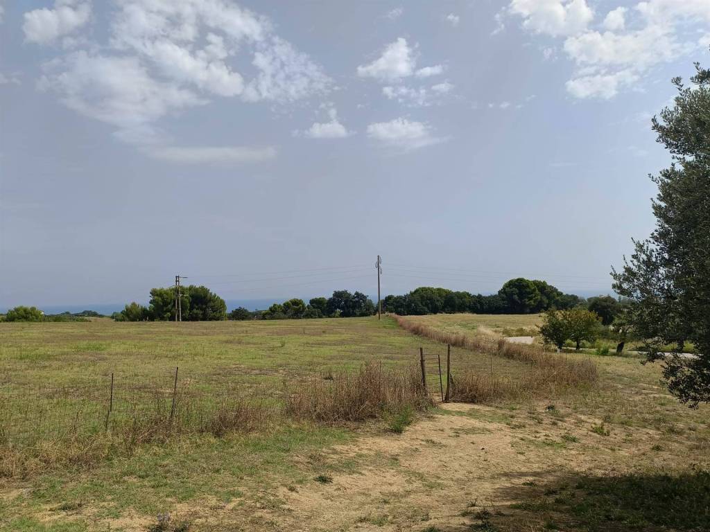 Terreno a Massignano - Foto 3
