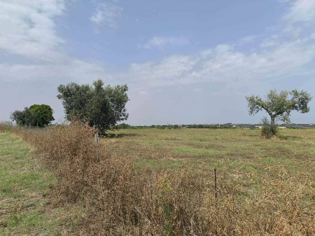 Terreno a Massignano - Foto 4