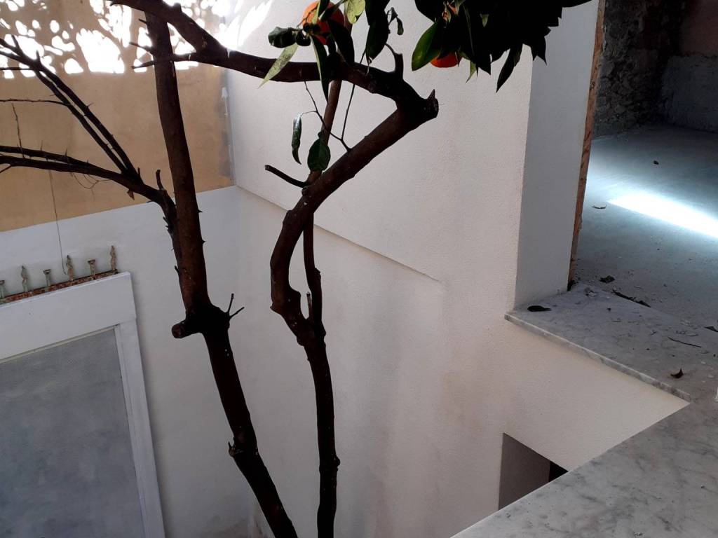 Casa indipendente a Sarzana in Via Giuseppe Mazzini - Foto 4