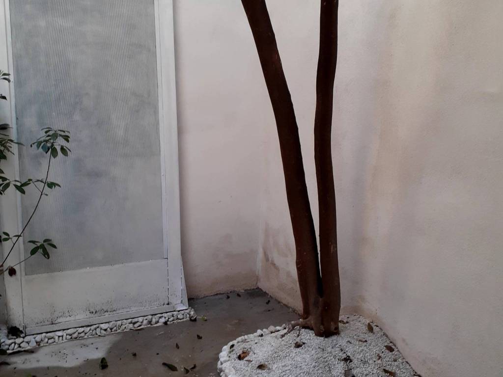 Casa indipendente a Sarzana in Via Giuseppe Mazzini - Foto 5
