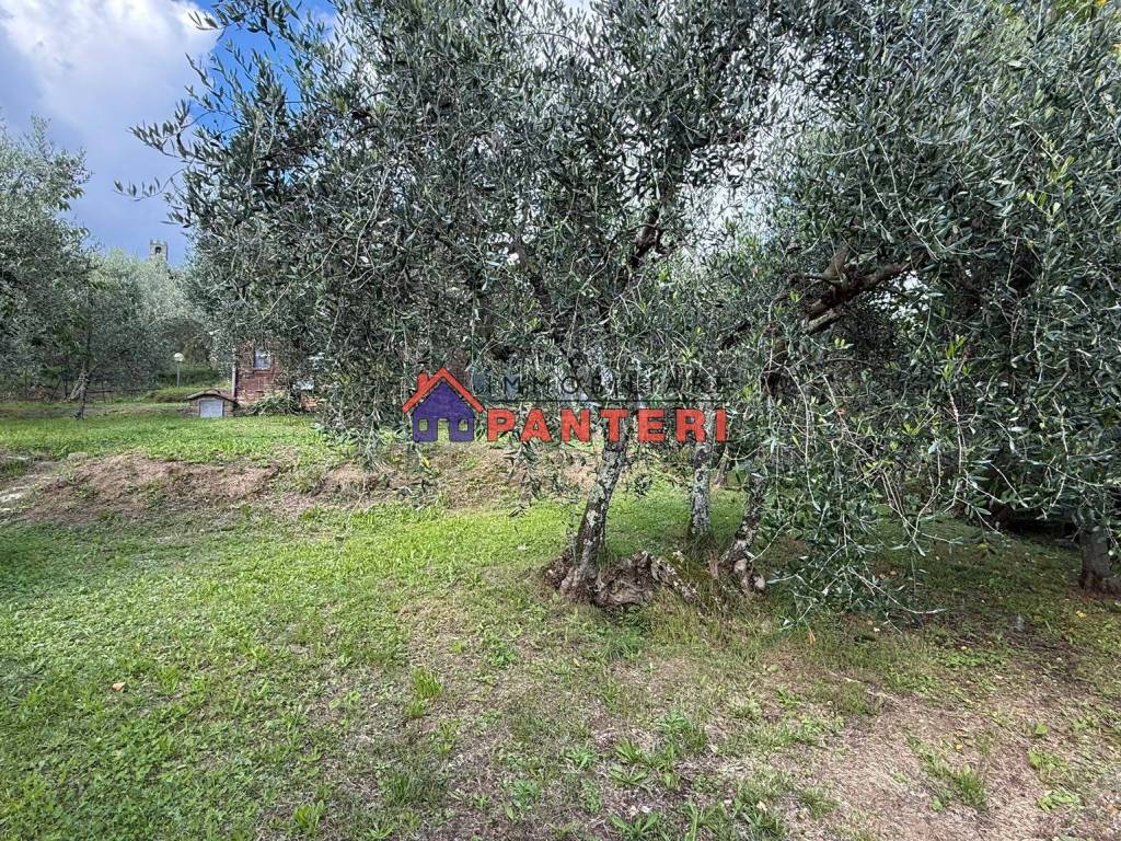 Rustico / casale a Pescia in Via Val di Torbola - Foto 5