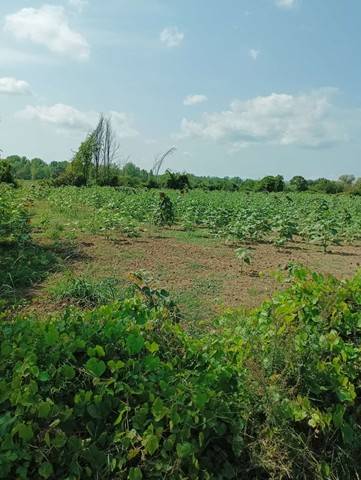 Terreno a Sansepolcro in Via Le Marcelle - Foto 5