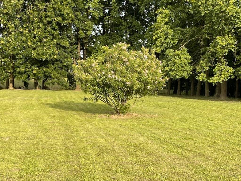 Terreno a Saccolongo in via Scapacchiò - Foto 3
