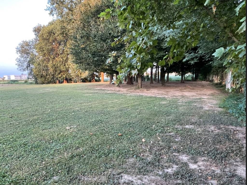 Terreno a Saccolongo in via Scapacchiò - Foto 4