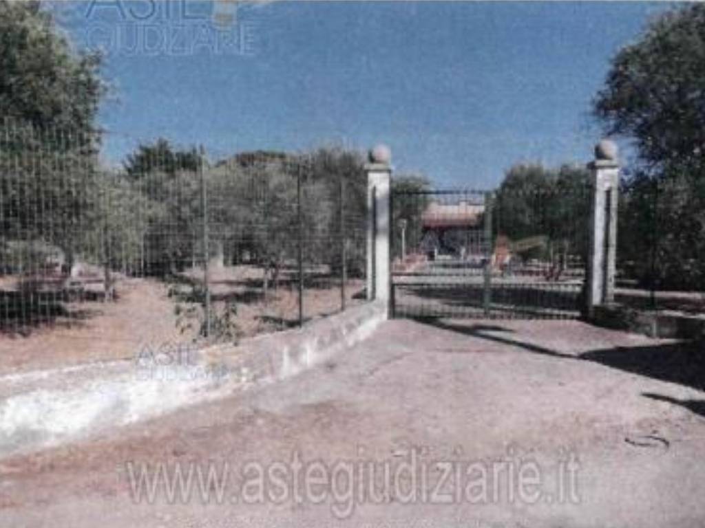 Villa a Trani in Strada Moschetto - Foto 3