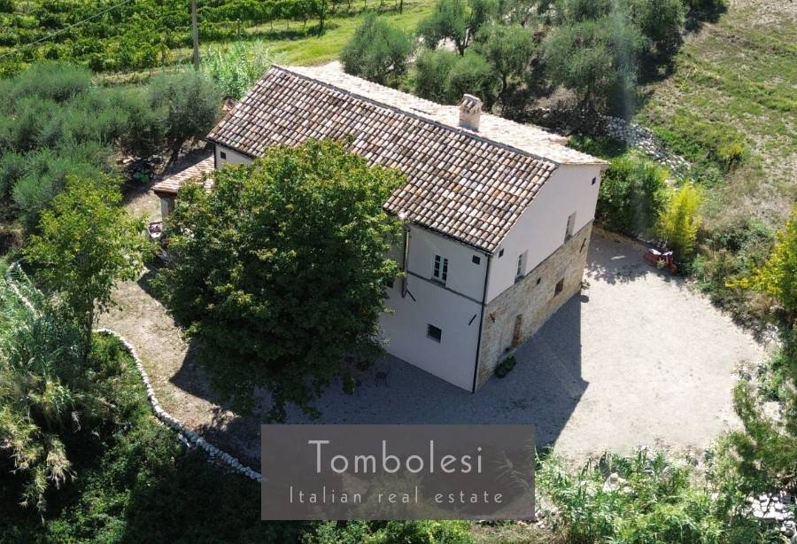 Rustico / casale a Cossignano in Via Gaetano Passali, 25 - Foto 5
