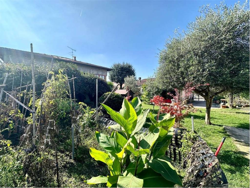 Casa indipendente a Borgolavezzaro in Via Garibaldi - Foto 5