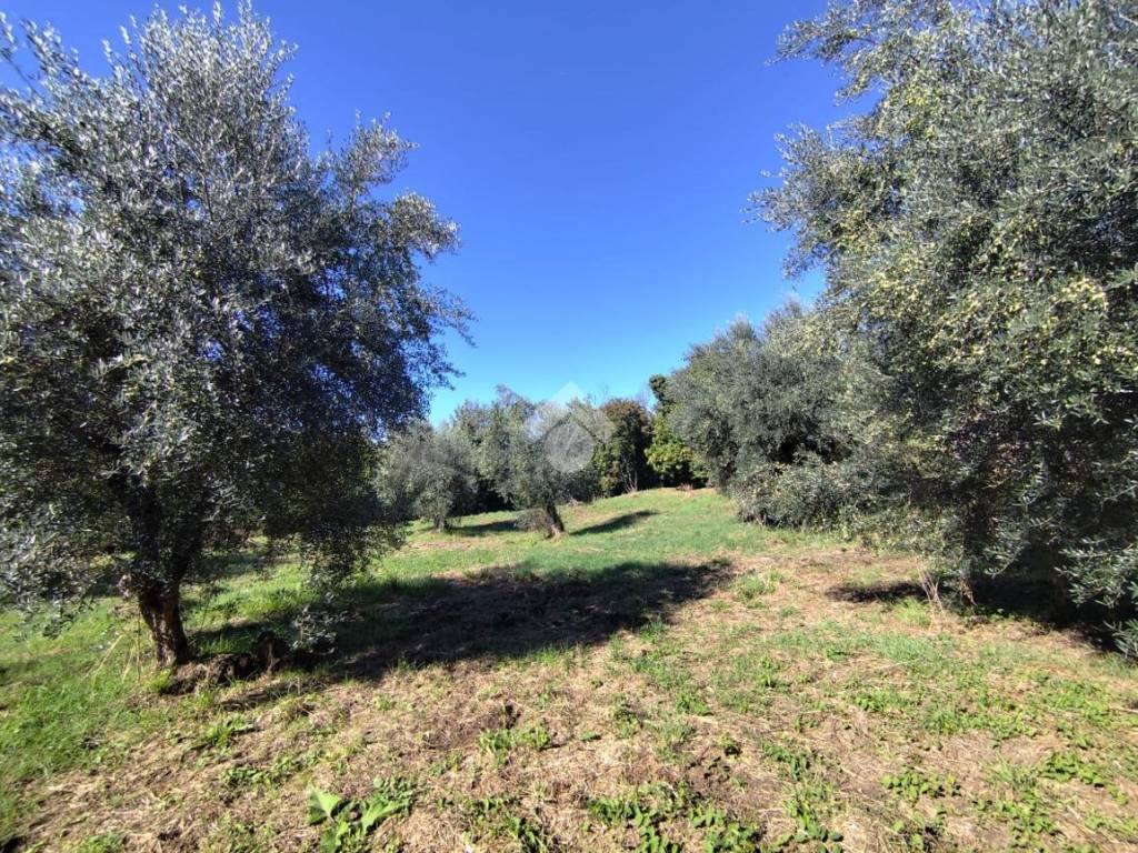 Rustico / casale a Subiaco in CONTRADA VAROLE - Foto 2