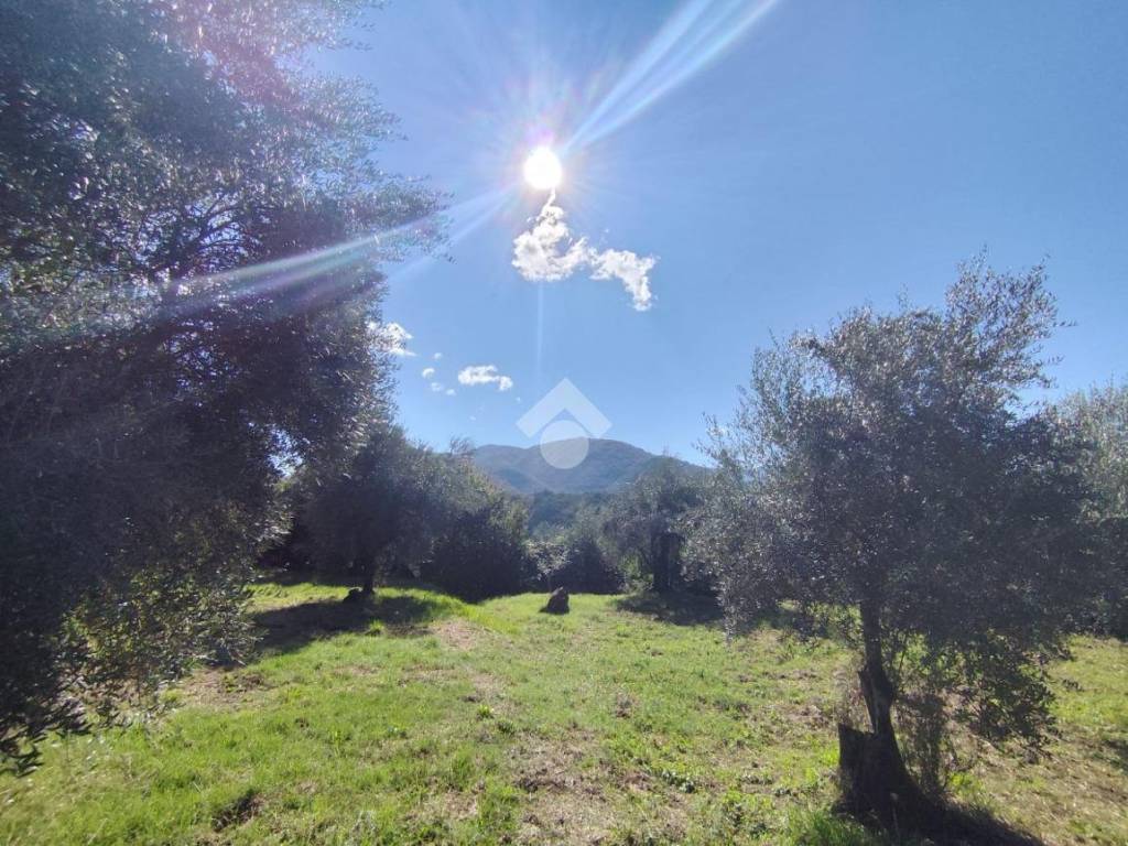 Rustico / casale a Subiaco in CONTRADA VAROLE - Foto 3