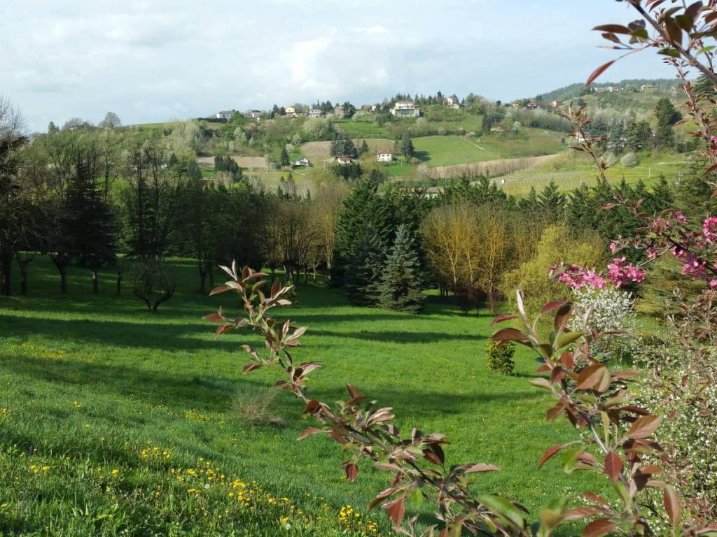 Rustico / casale a Acqui terme - Foto 5