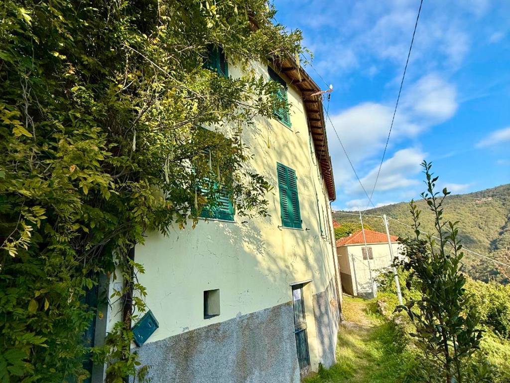 Rustico / casale a Serra riccò in Via Cadelè Bricollo, 68 - Foto 2