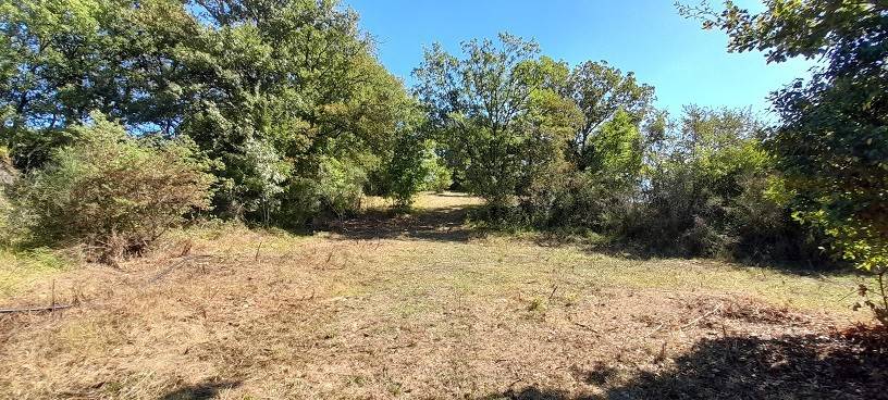 Terreno a Canale monterano in VIA TORRETTA, 00 - Foto 2