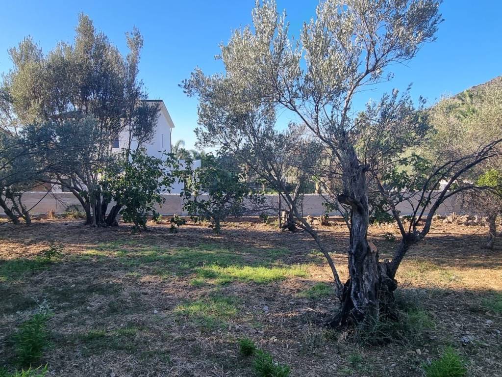 Villa a Carini in Via Milazzo, 13 - Foto 3