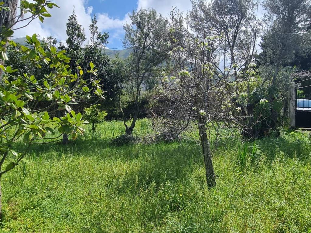 Villa a Carini in Via Milazzo, 13 - Foto 4