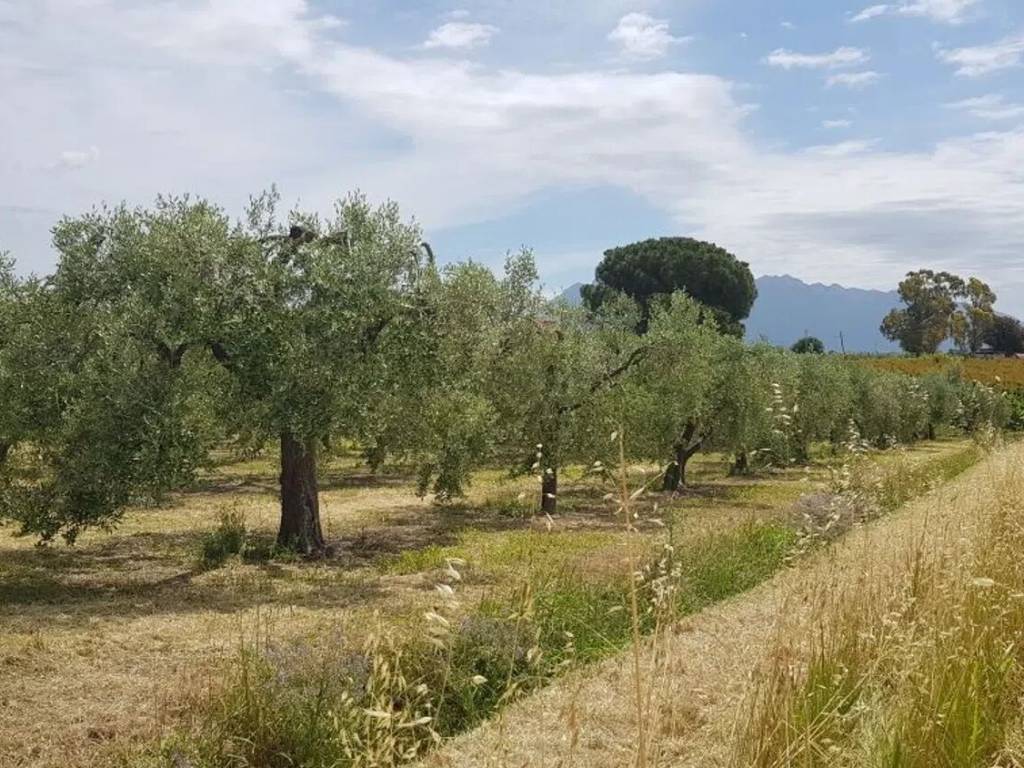 Terreno a Eboli in Via Serracapilli - Foto 2