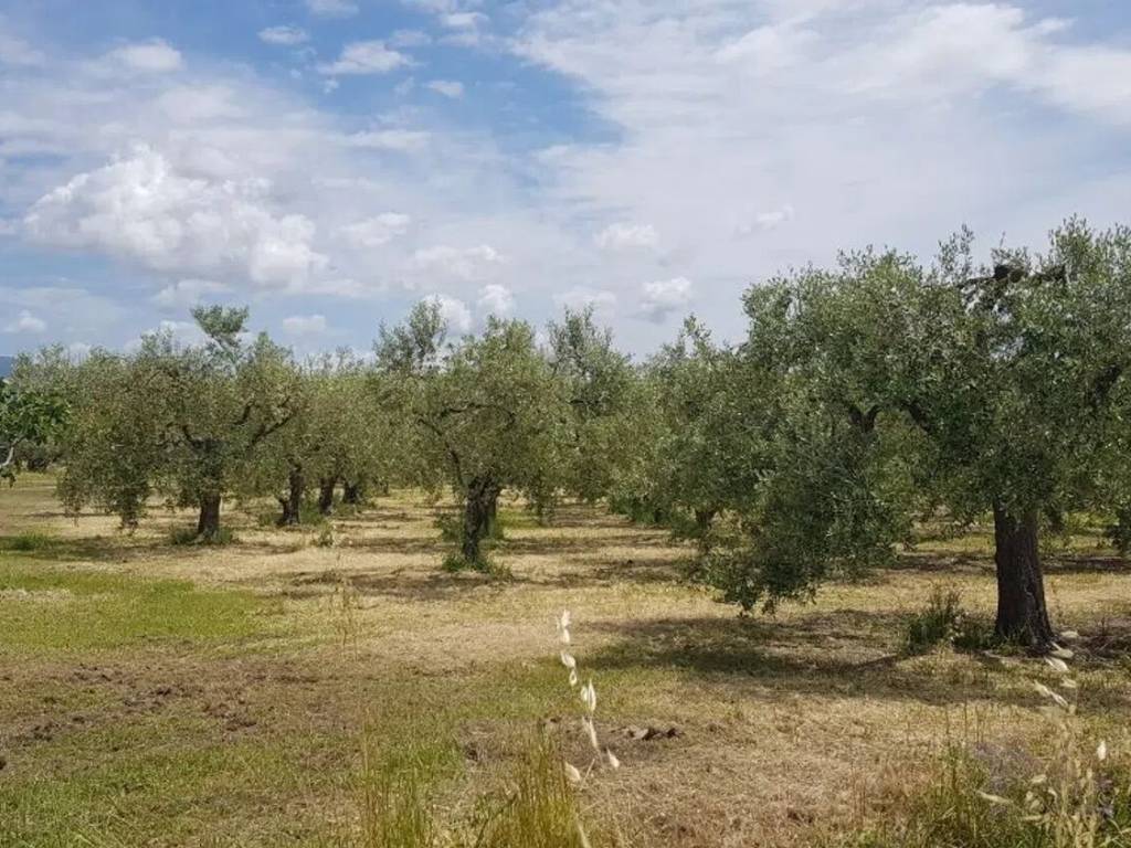 Terreno a Eboli in Via Serracapilli - Foto 3