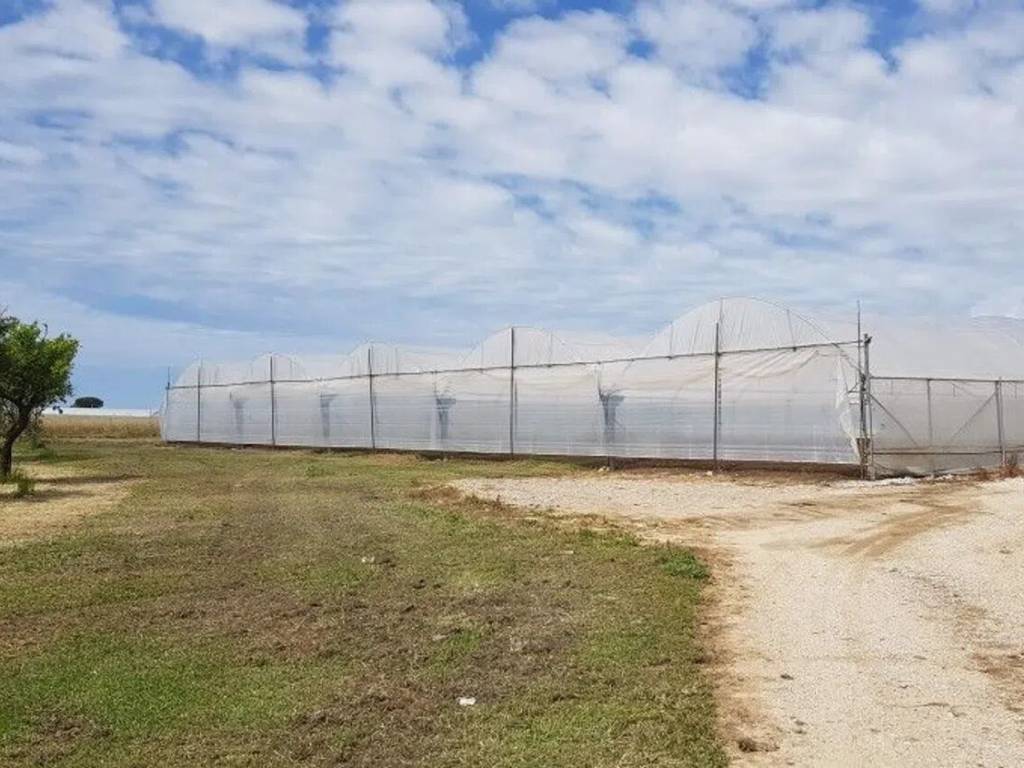 Terreno a Eboli in Via Serracapilli - Foto 4