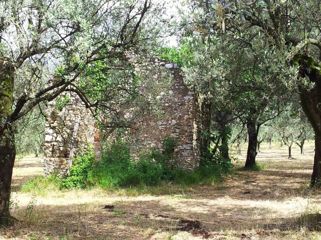 Terreno a Campagna in Via Molignano - Foto 4