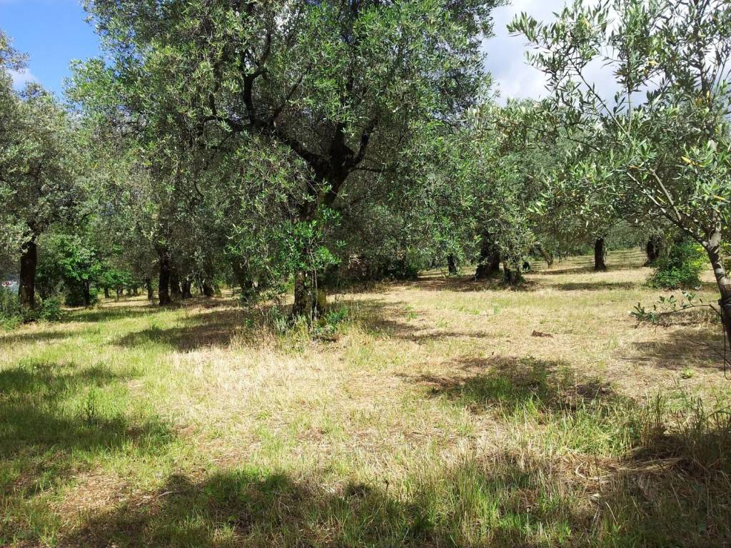 Terreno a Campagna in Via Molignano - Foto 5