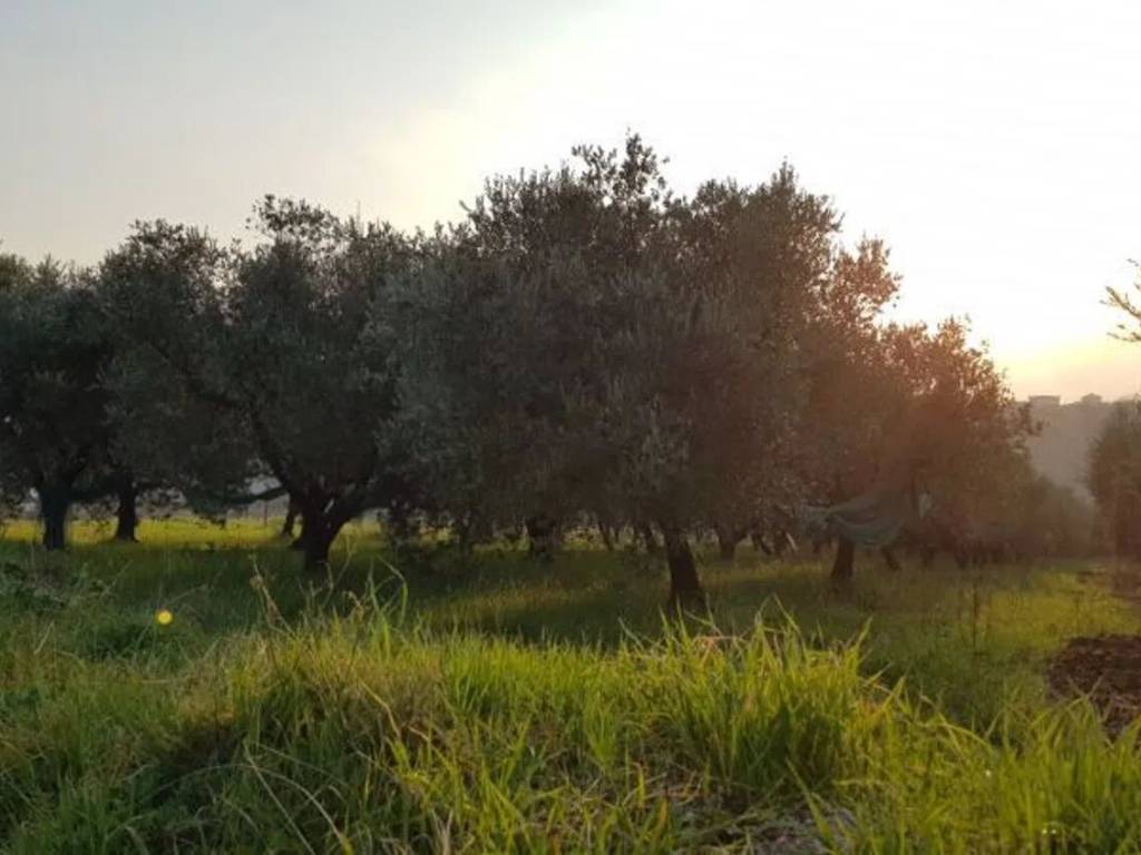 Terreno a Campagna in Via Vallegrini - Foto 2